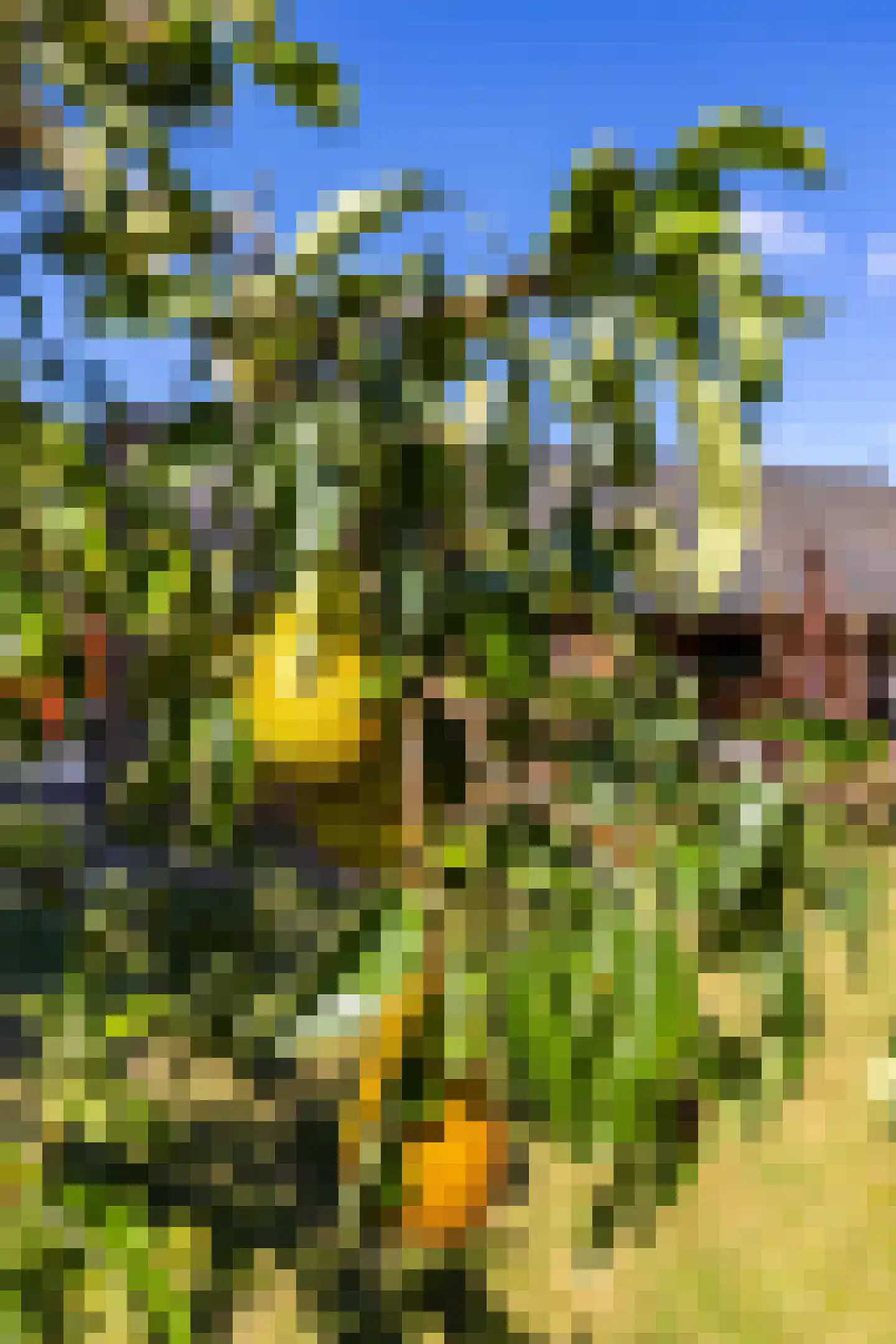 Hoofdweg 85 Froombosch thumbnail 69