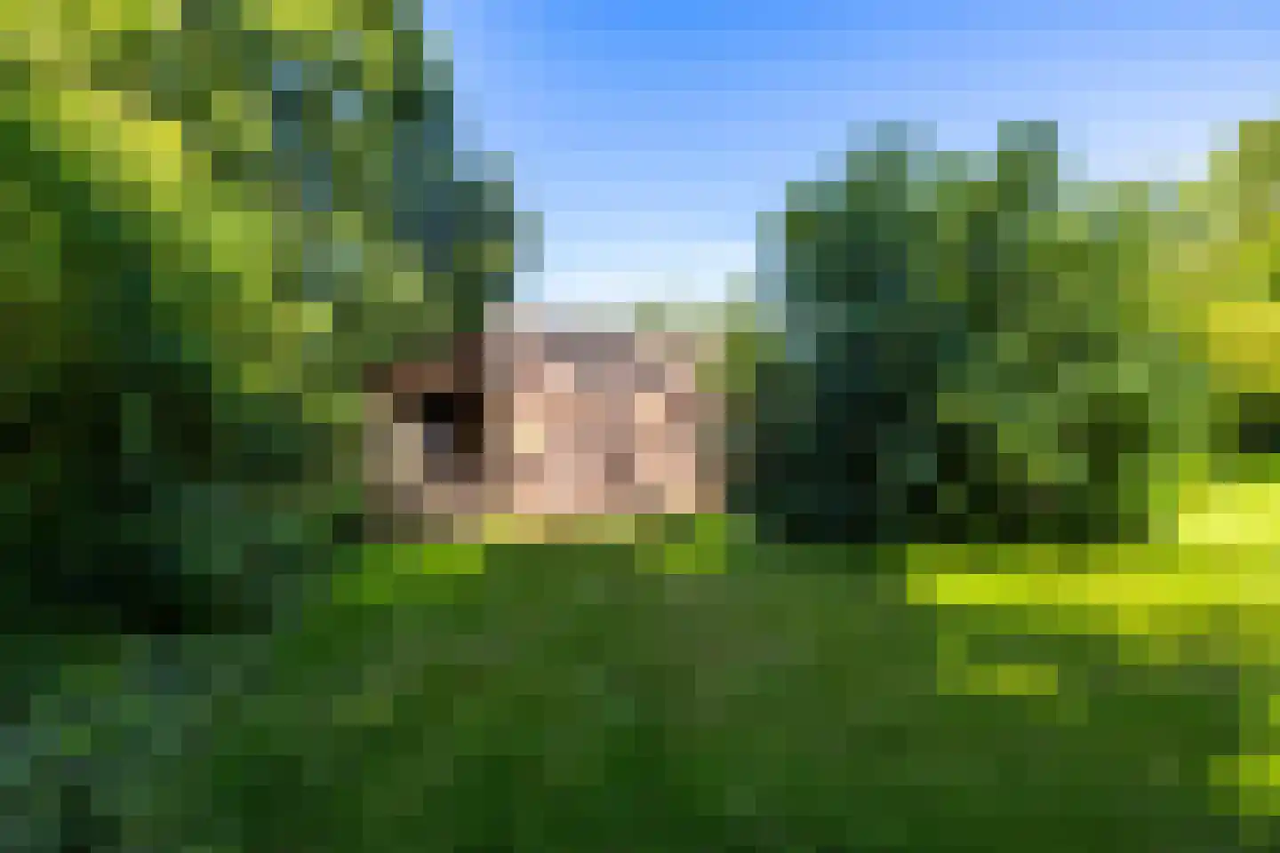Hoofdweg 85 Froombosch thumbnail 70