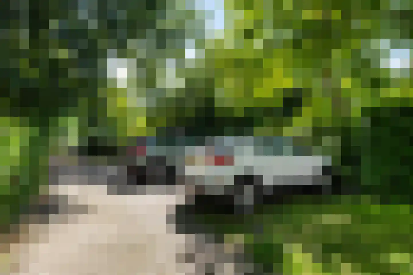 Hoofdweg 85 Froombosch thumbnail 79