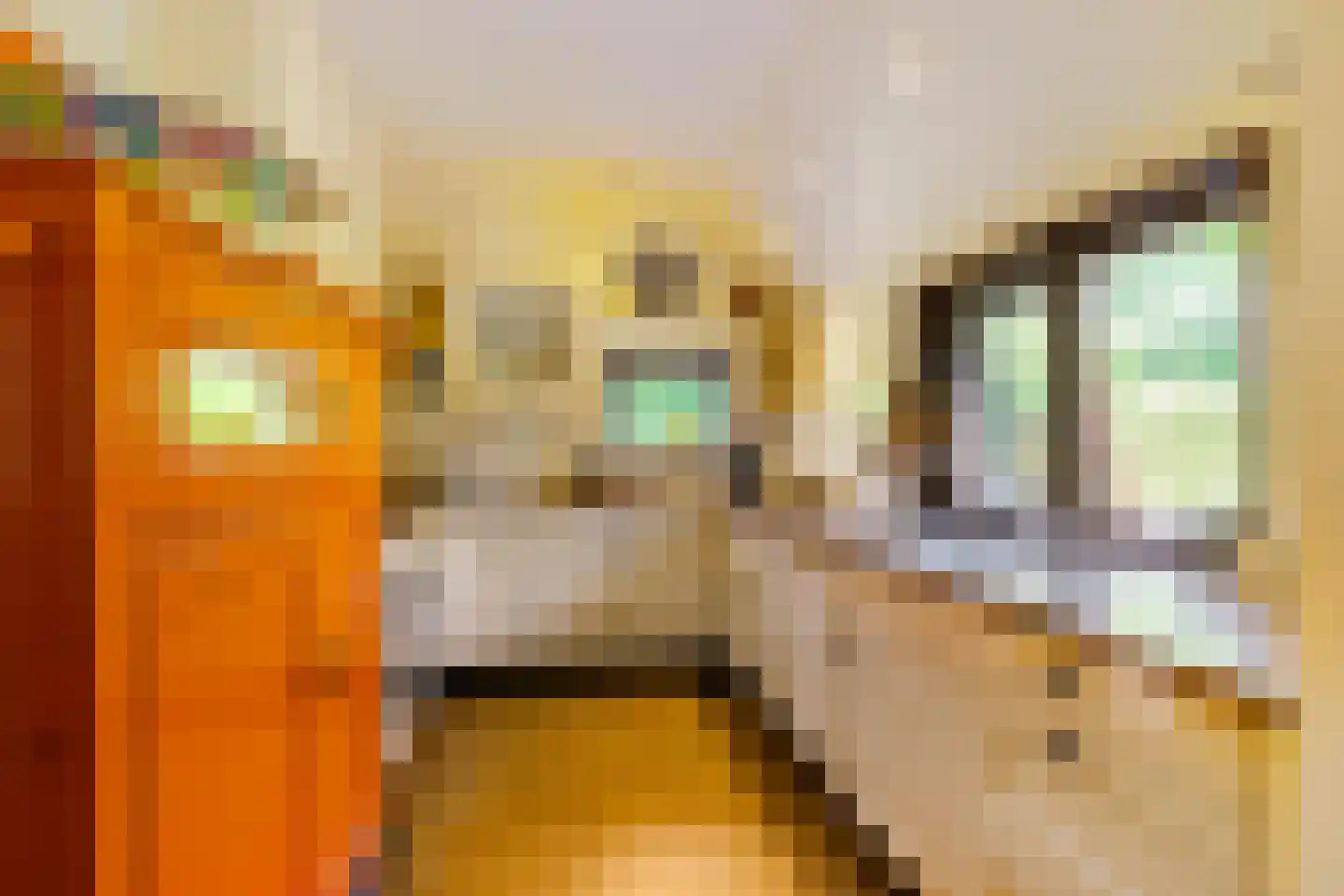 Hoofdweg 85 Froombosch thumbnail 8