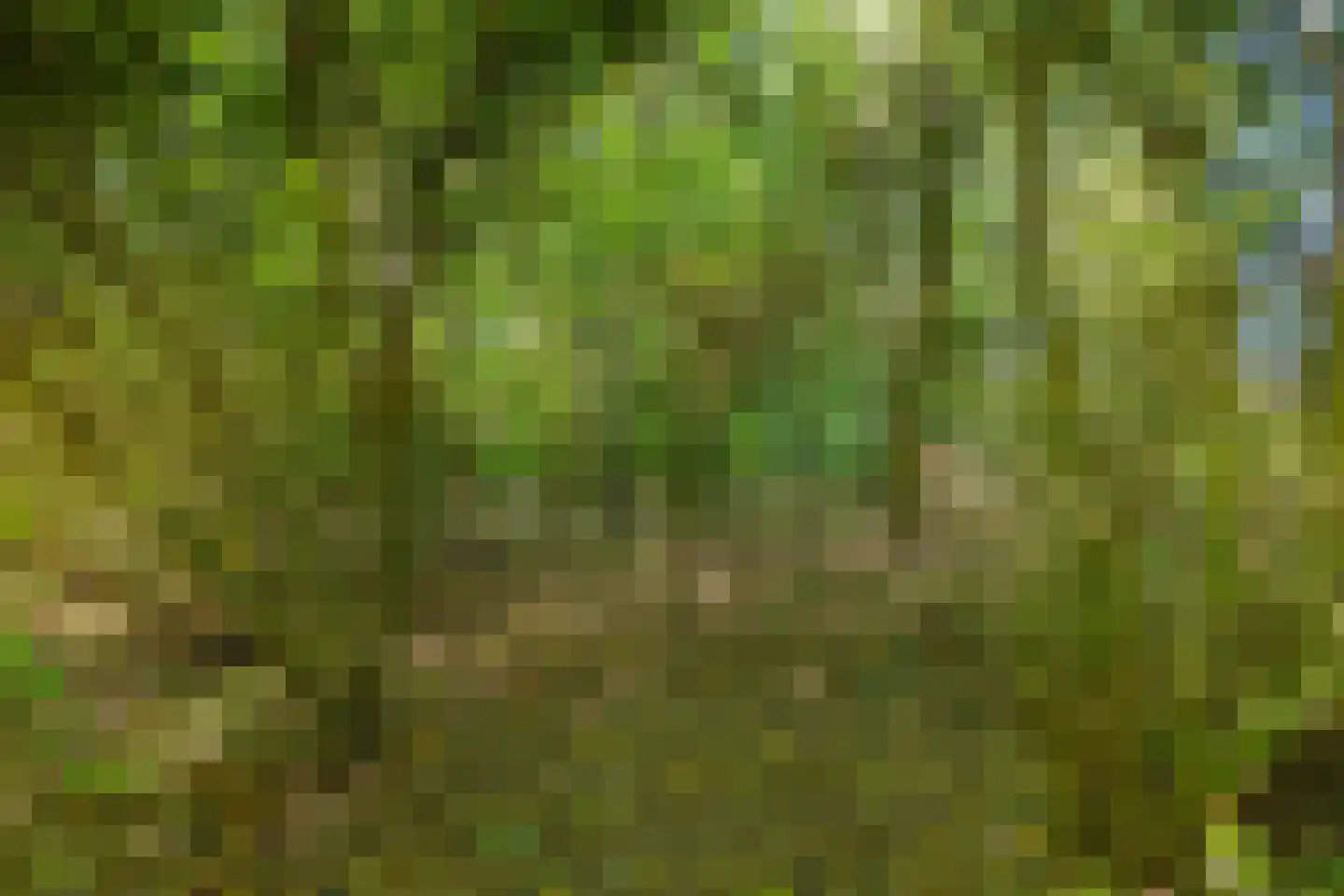 Hoofdweg 85 Froombosch thumbnail 81