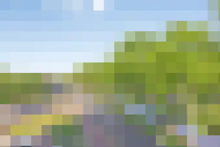 Hoofdweg 852 H Hoofddorp thumbnail 15
