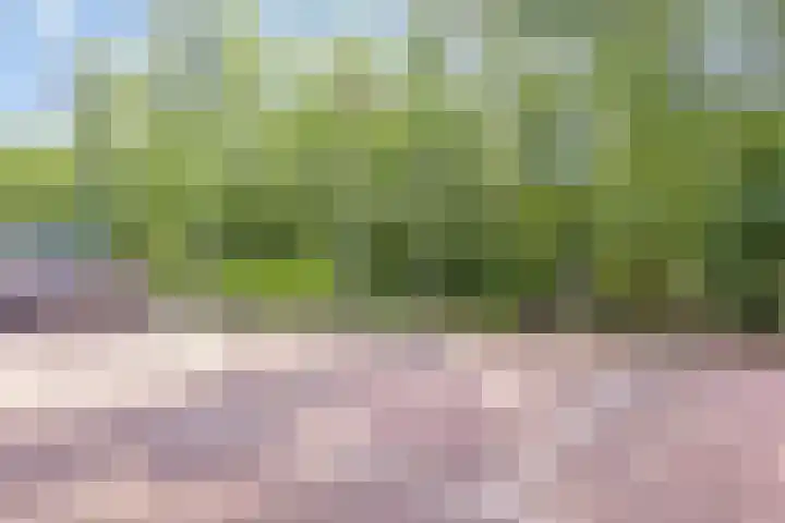 Hoofdweg 852 H Hoofddorp thumbnail 16