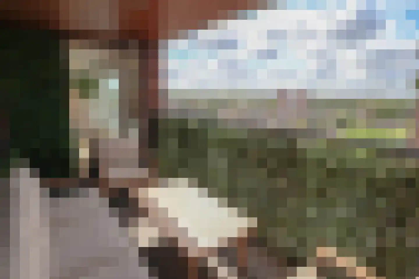 Hoofdweg 866 Rotterdam thumbnail 21