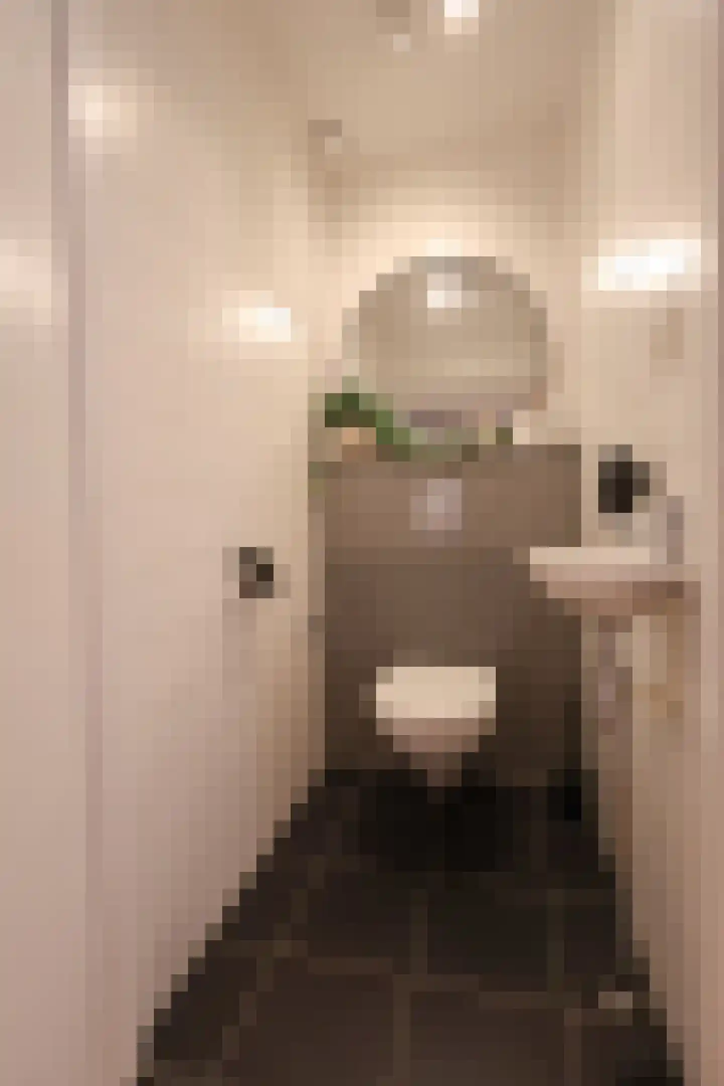 Hoofdweg 866 Rotterdam thumbnail 23