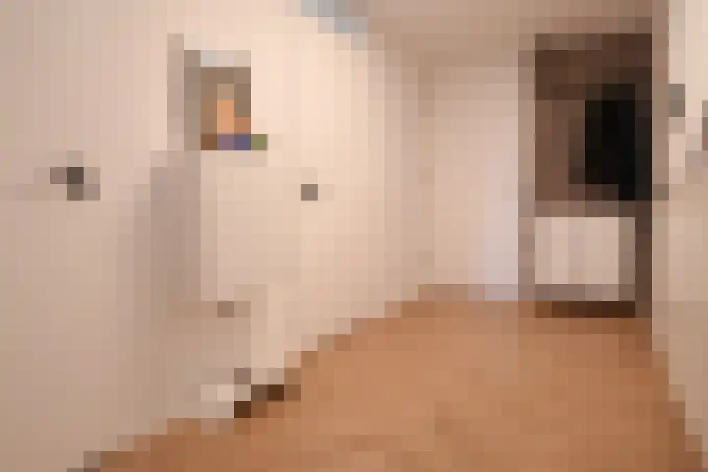 Hoofdweg 866 Rotterdam thumbnail 8