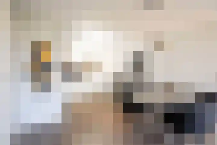 Hoofdweg 890 Rotterdam thumbnail 15