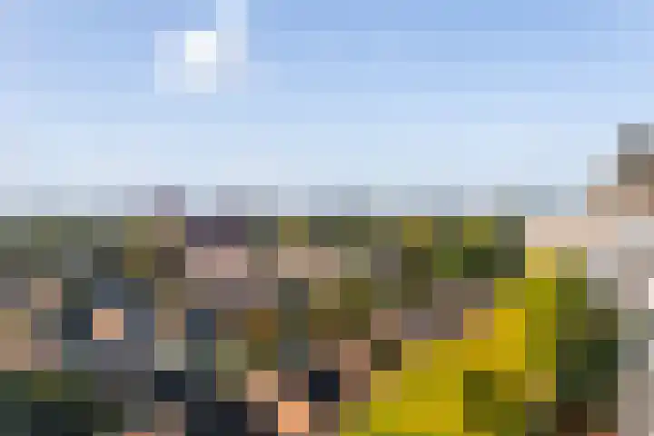 Hoofdweg 890 Rotterdam thumbnail 6