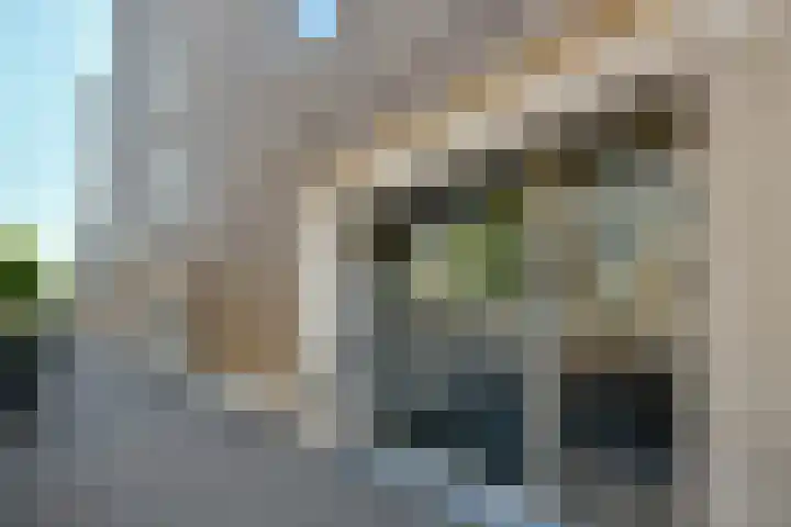 Hoofdweg 895 Amsterdam thumbnail 18