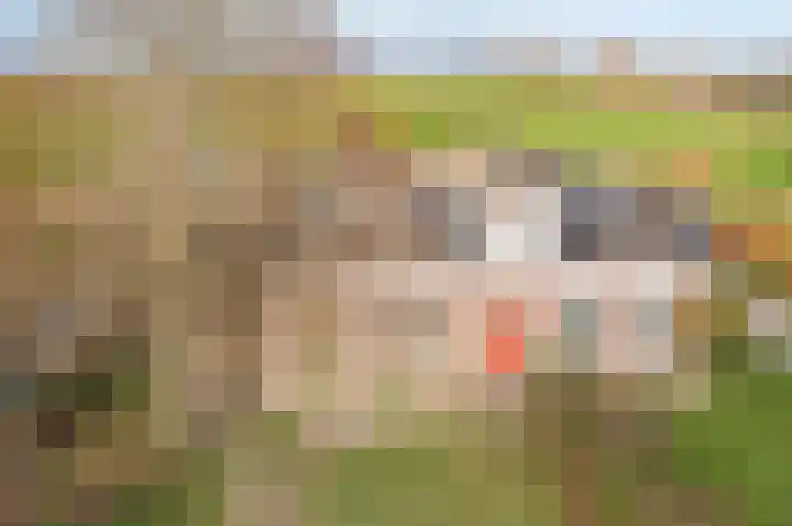 Hoofdweg 9 Echten