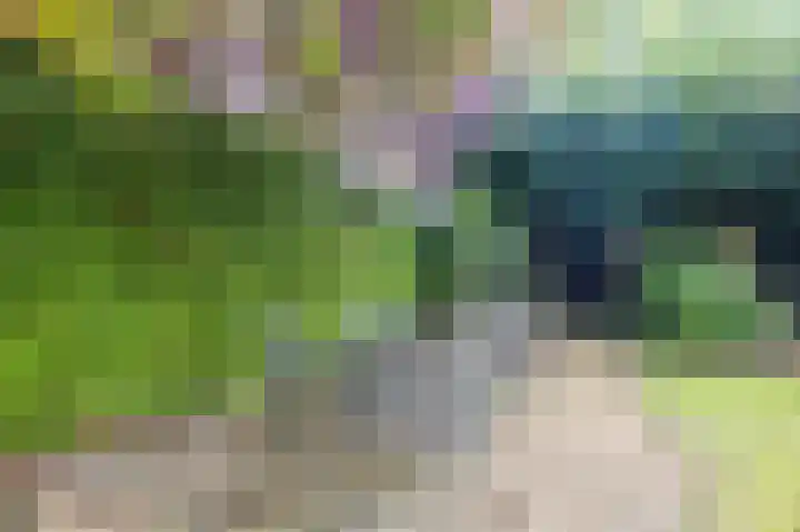Hoofdweg 9 Echten thumbnail 23