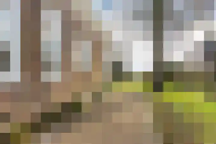 Hoofdweg 9 Echten thumbnail 47