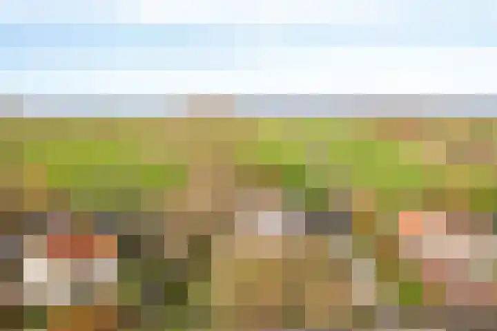 Hoofdweg 9 Echten thumbnail 5