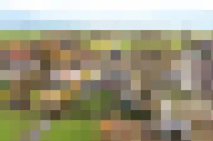 Hoofdweg 9 Echten thumbnail 6