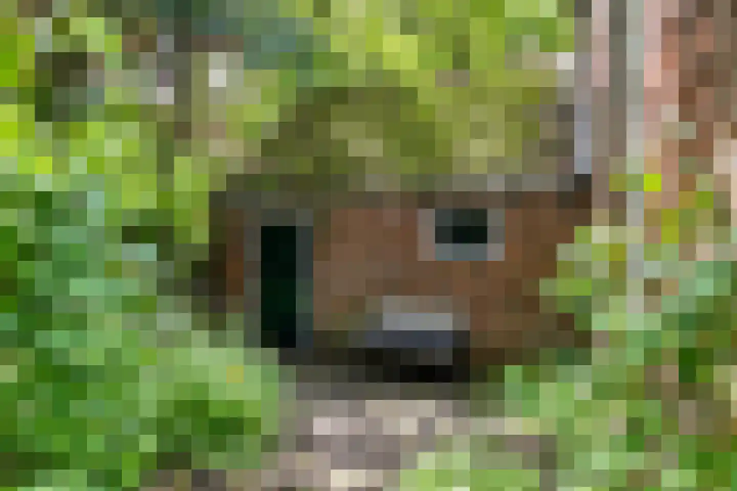 Hoofdweg 9 Godlinze thumbnail 13