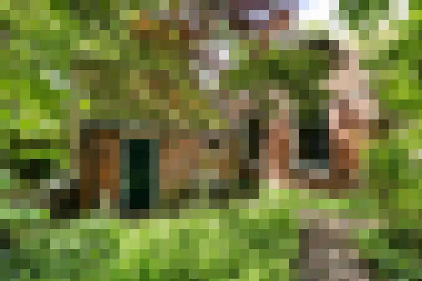Hoofdweg 9 Godlinze thumbnail 14