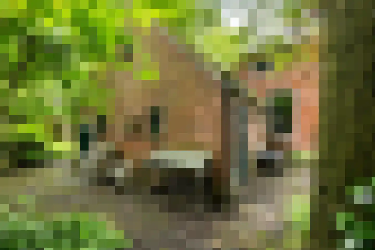 Hoofdweg 9 Godlinze thumbnail 15