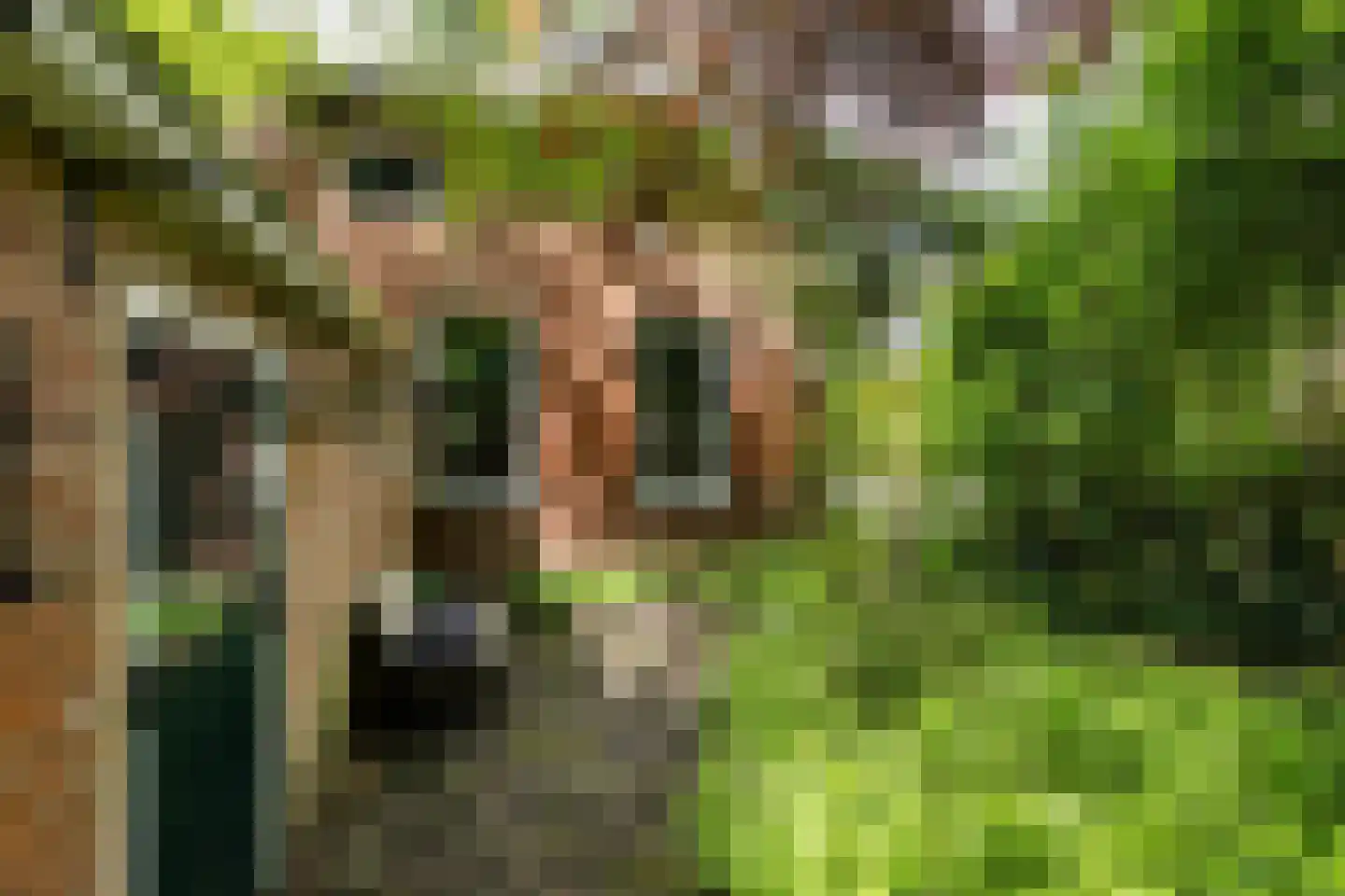 Hoofdweg 9 Godlinze thumbnail 16