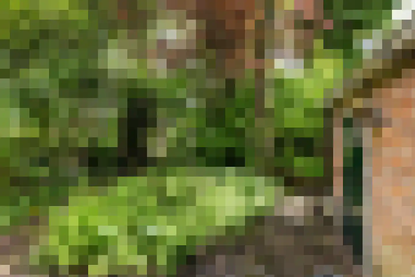 Hoofdweg 9 Godlinze thumbnail 19