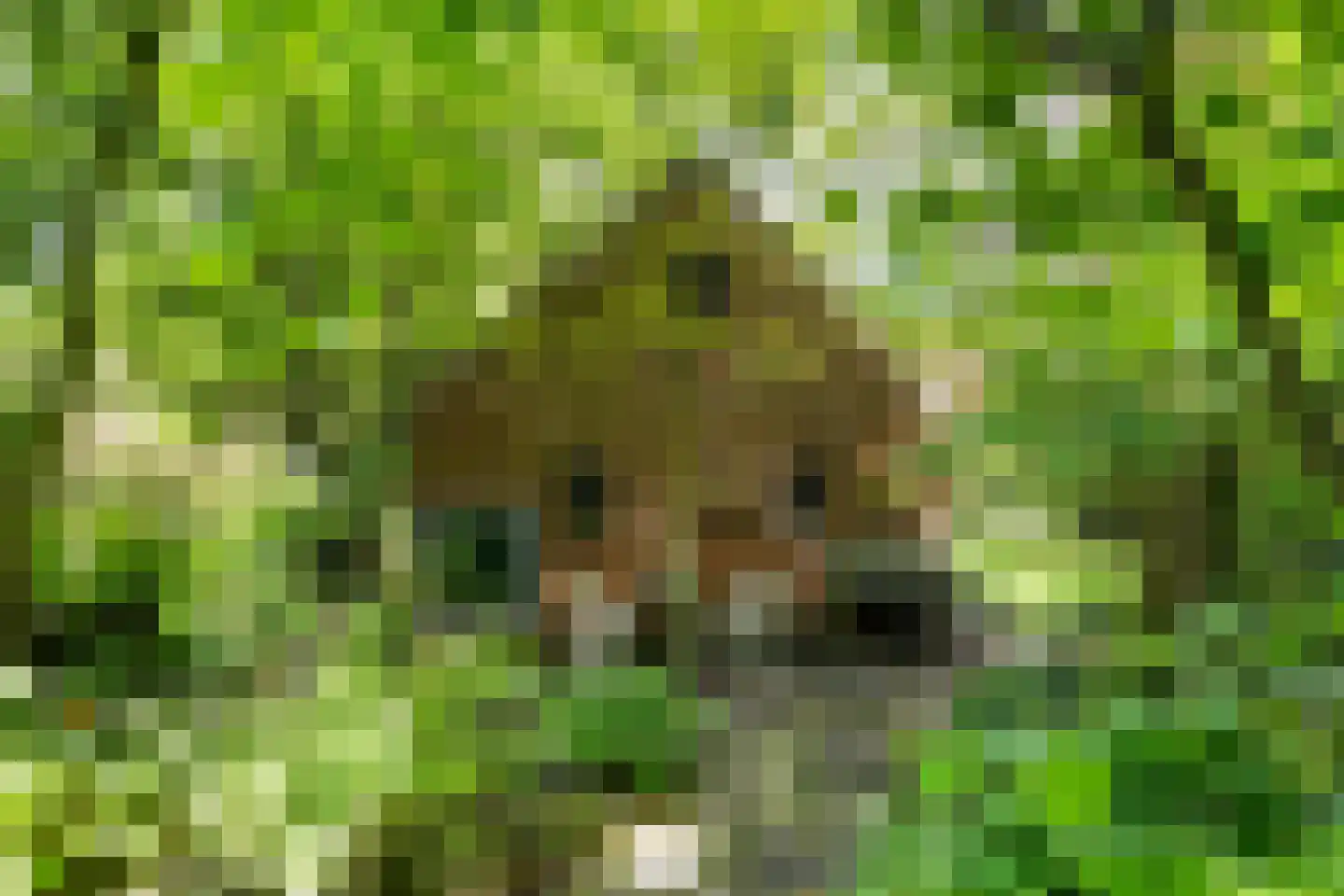 Hoofdweg 9 Godlinze thumbnail 20