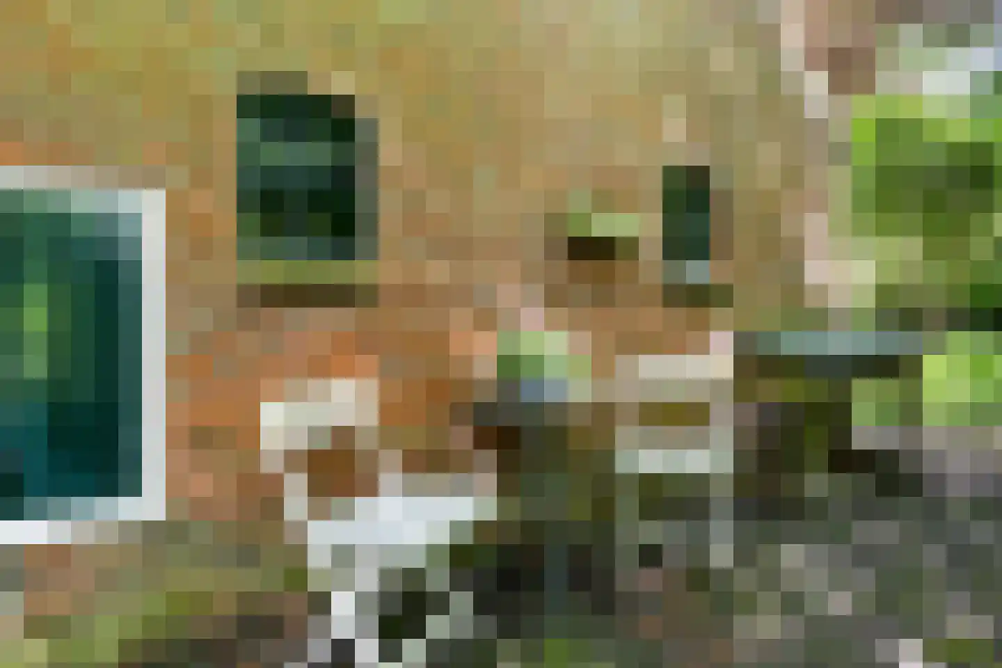 Hoofdweg 9 Godlinze thumbnail 21