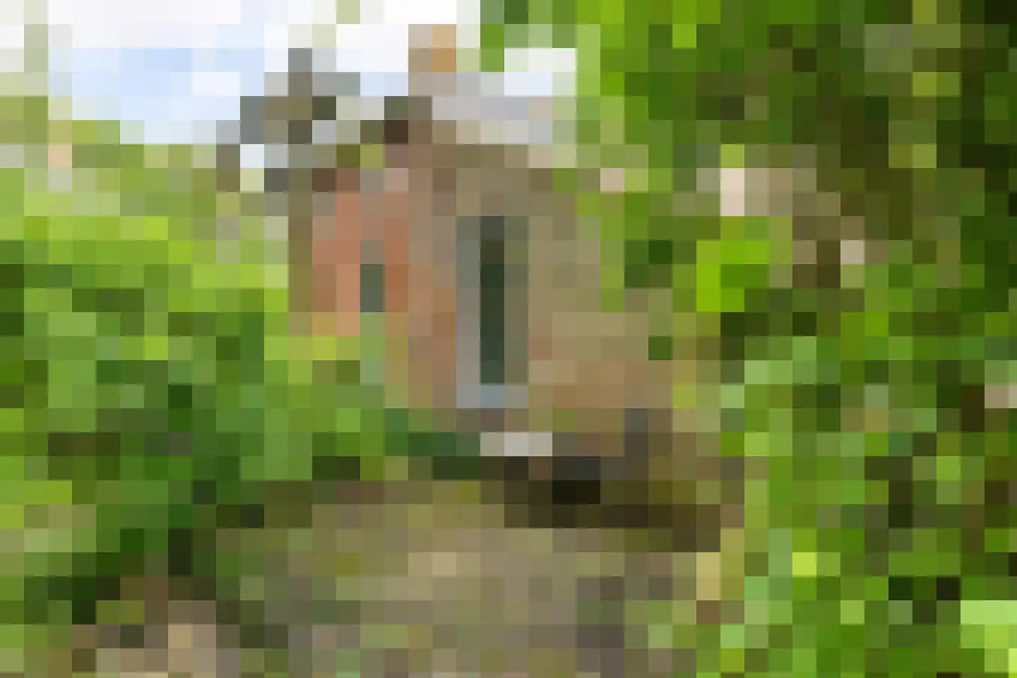 Hoofdweg 9 Godlinze thumbnail 22