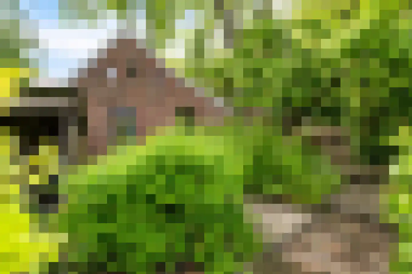 Hoofdweg 9 Godlinze thumbnail 23