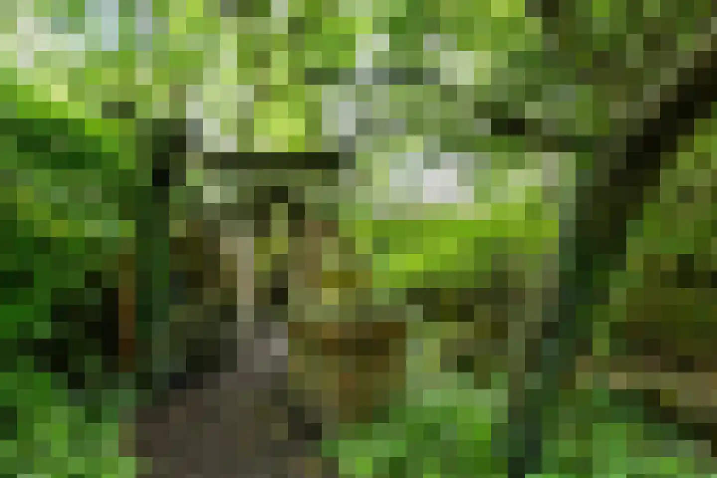 Hoofdweg 9 Godlinze thumbnail 24