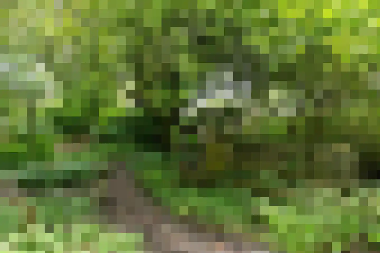Hoofdweg 9 Godlinze thumbnail 26