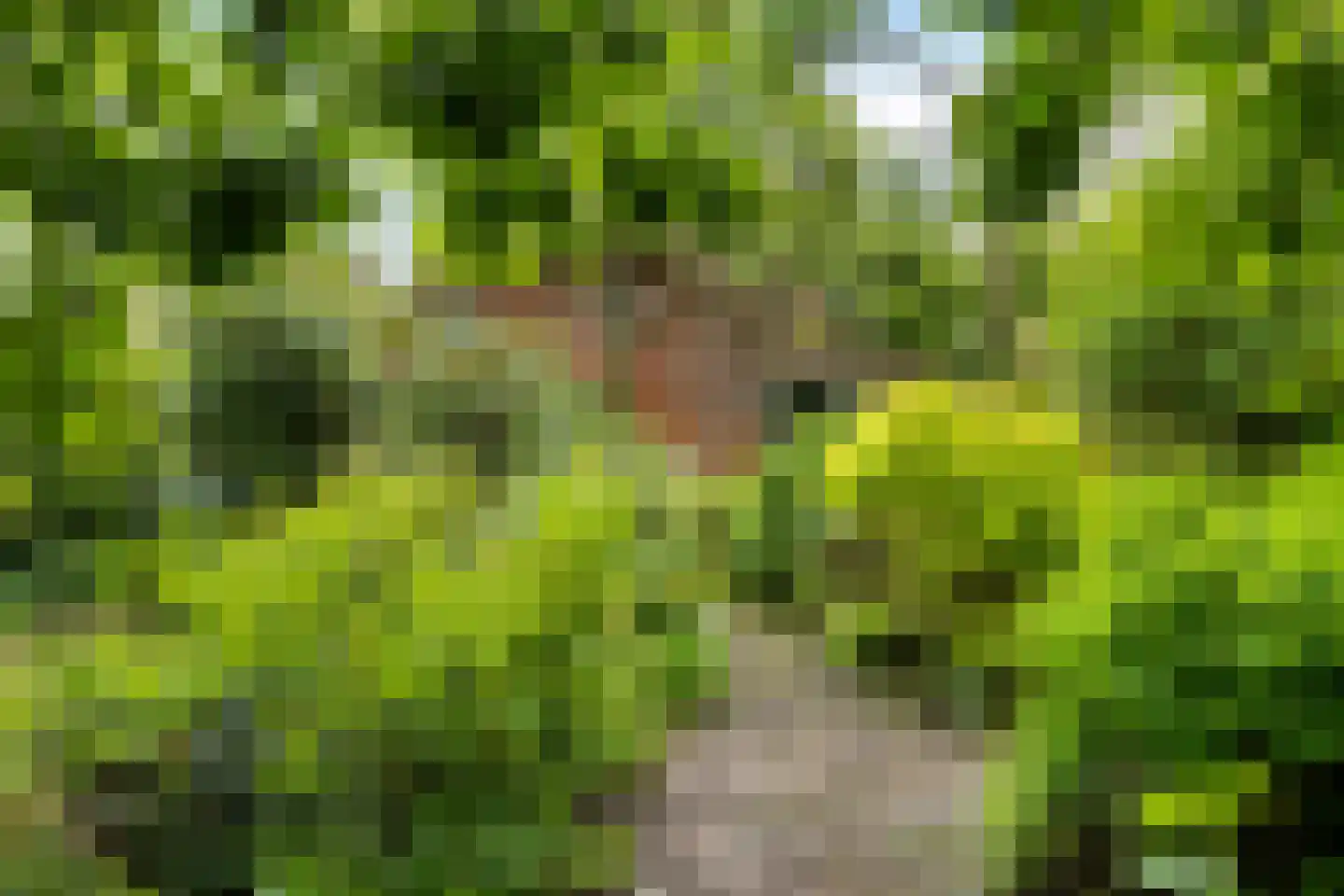 Hoofdweg 9 Godlinze thumbnail 27