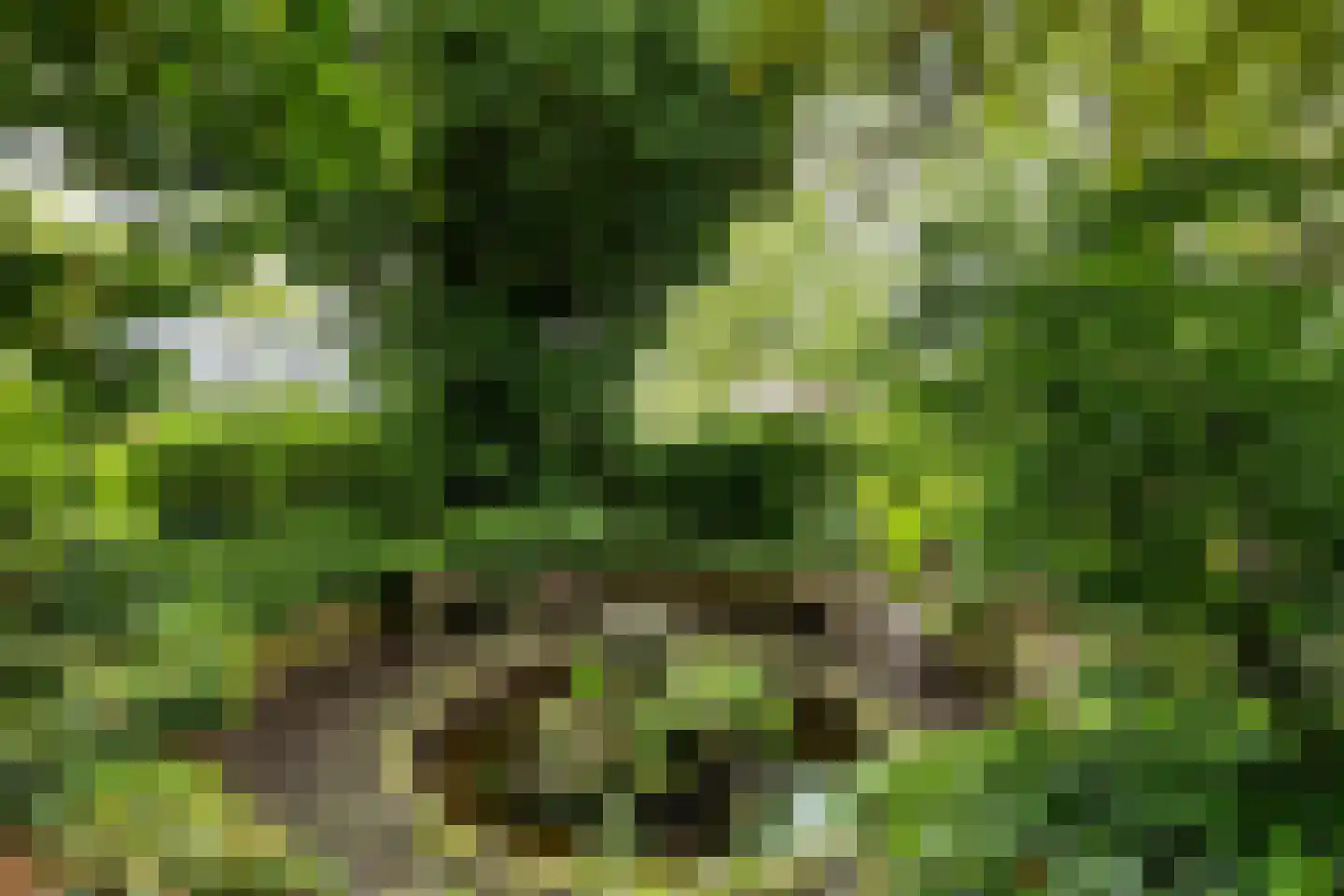 Hoofdweg 9 Godlinze thumbnail 4