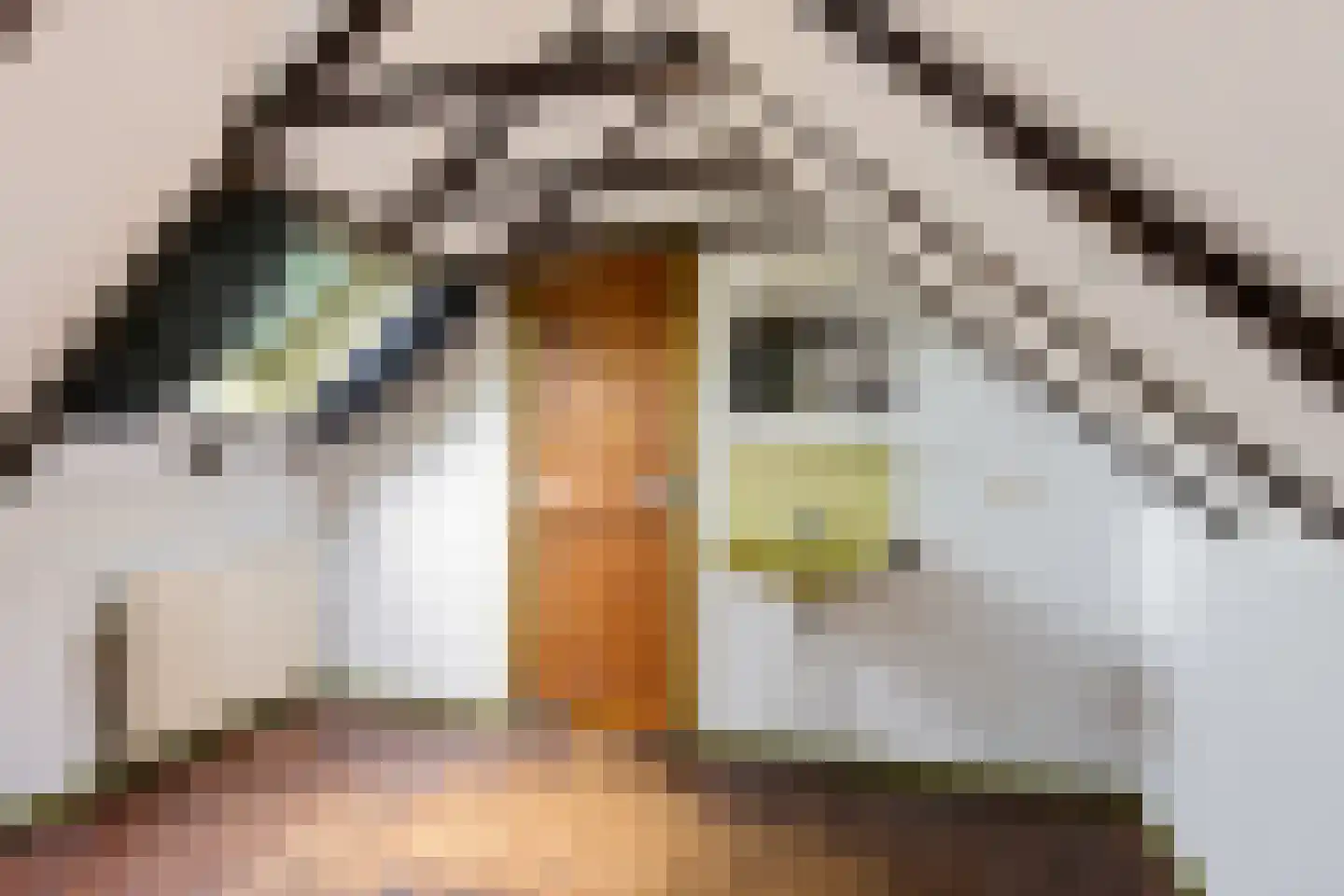 Hoofdweg 9 Godlinze thumbnail 52