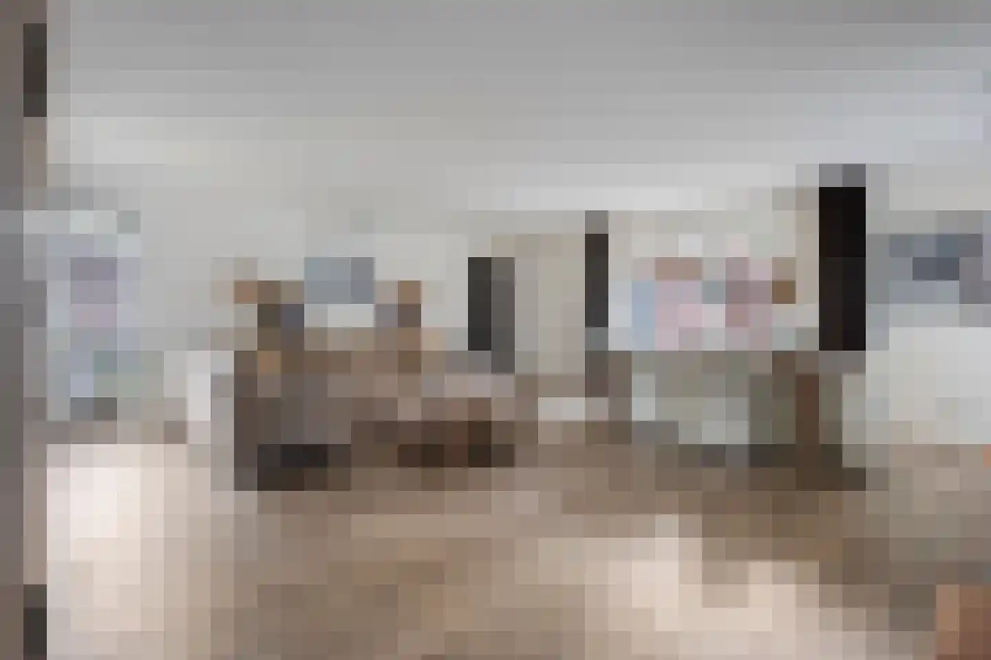 Hoofdweg 9 Westerhaar-Vriezenveensewijk thumbnail 15