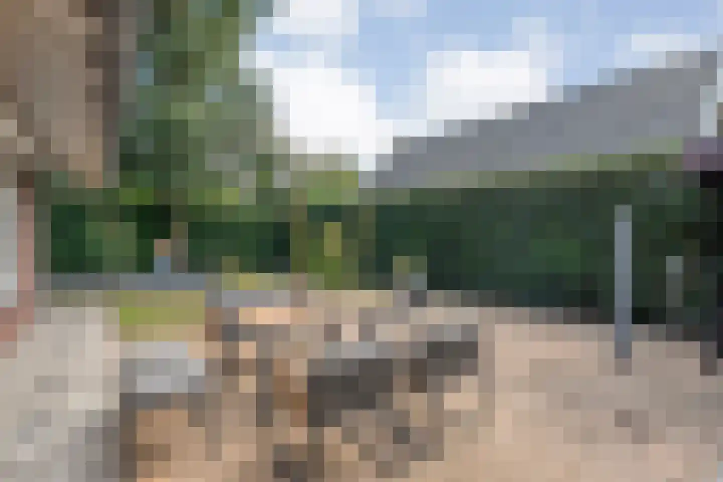 Hoofdweg 9 Westerhaar-Vriezenveensewijk thumbnail 23