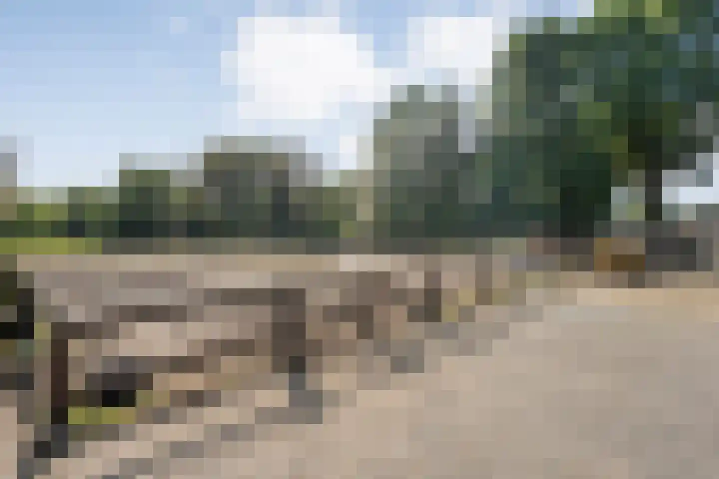 Hoofdweg 9 Westerhaar-Vriezenveensewijk thumbnail 33