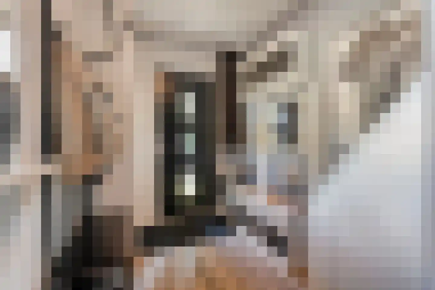 Hoofdweg 9 Westerhaar-Vriezenveensewijk thumbnail 6