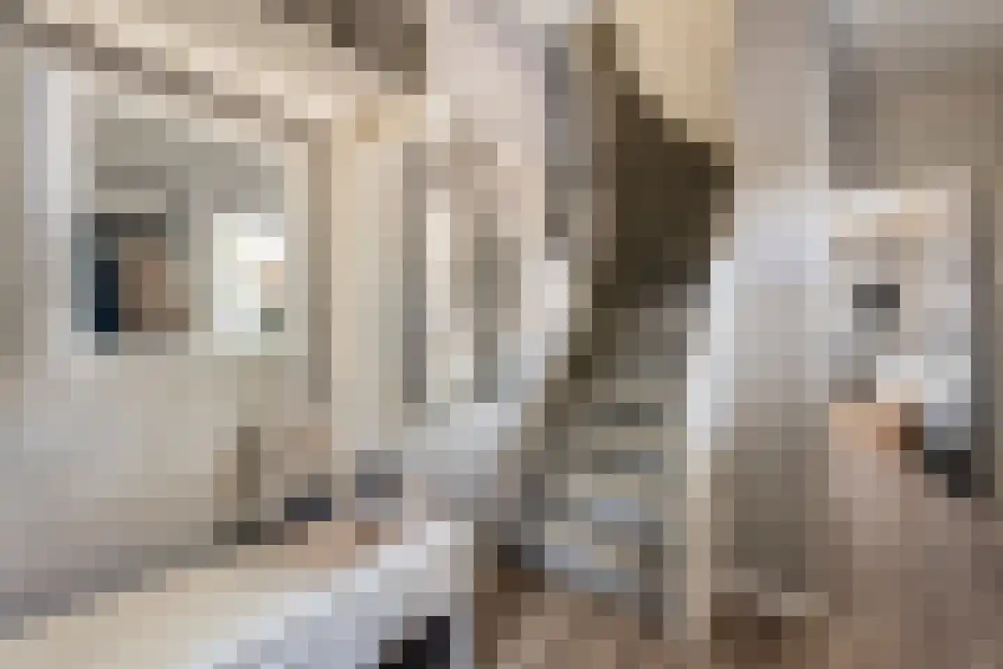 Hoofdweg 9 Westerhaar-Vriezenveensewijk thumbnail 7