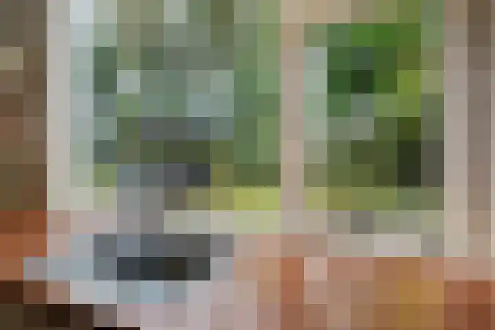 Hoofdweg 90 Ederveen thumbnail 13