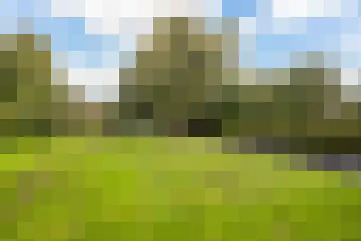 Hoofdweg 90 Ederveen thumbnail 34