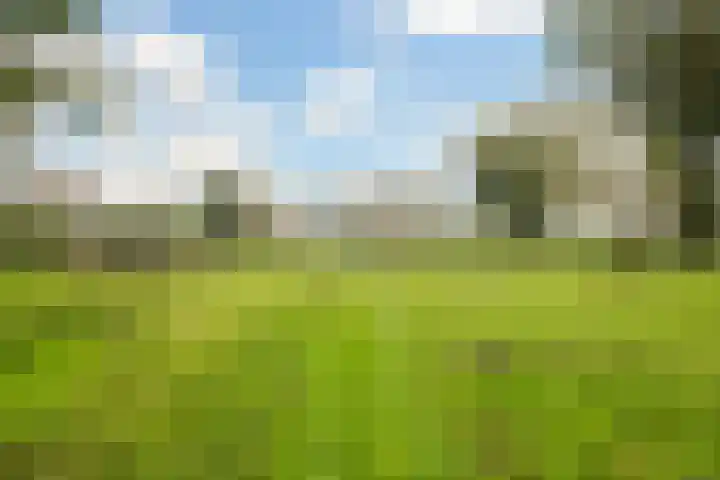 Hoofdweg 90 Ederveen thumbnail 37