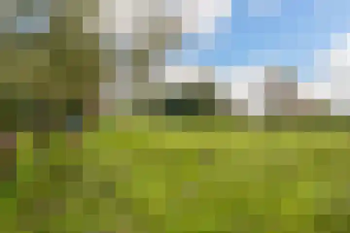 Hoofdweg 90 Ederveen thumbnail 38