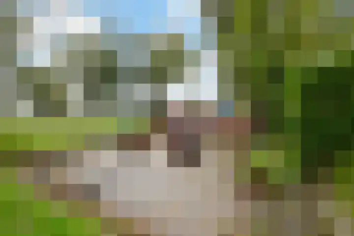 Hoofdweg 90 Ederveen thumbnail 39