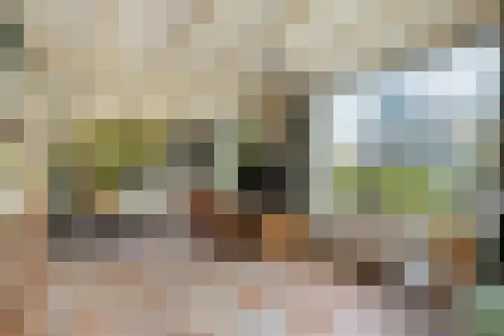 Hoofdweg 90 Ederveen thumbnail 4