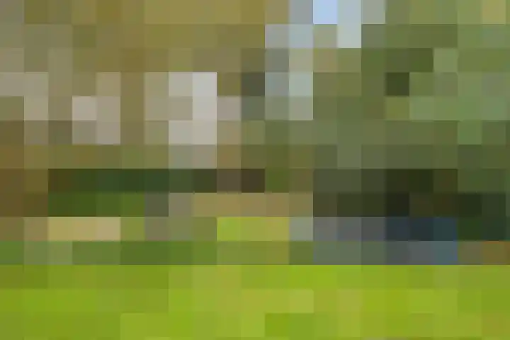 Hoofdweg 90 Ederveen thumbnail 40