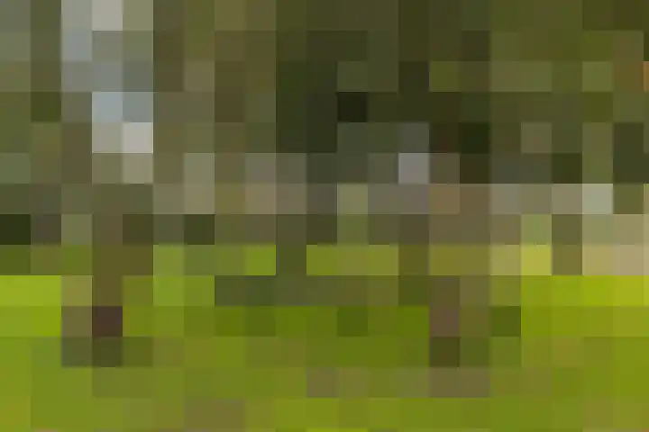 Hoofdweg 90 Ederveen thumbnail 41