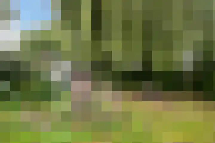 Hoofdweg 90 Ederveen thumbnail 42