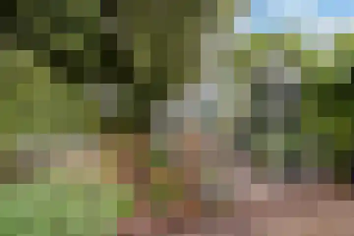 Hoofdweg 90 Ederveen thumbnail 43