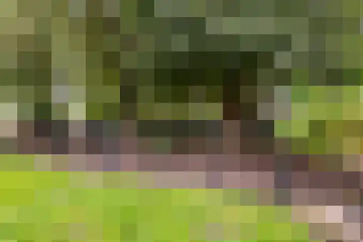 Hoofdweg 90 Ederveen thumbnail 45