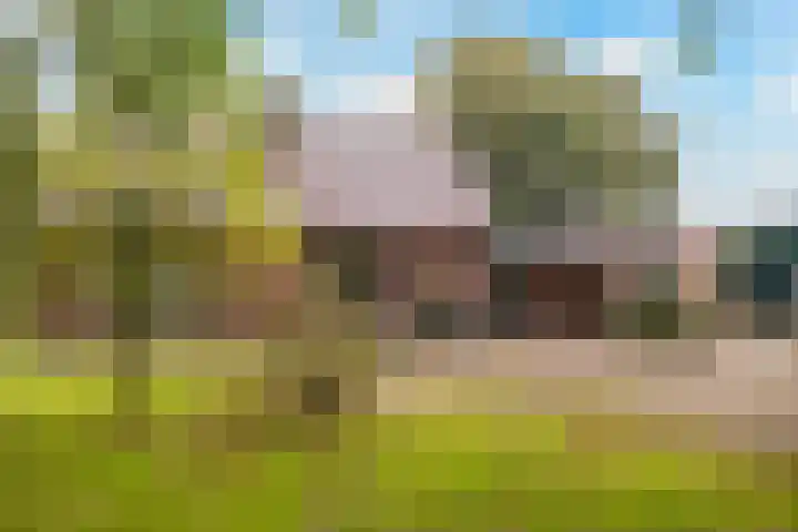 Hoofdweg 90 Ederveen thumbnail 50