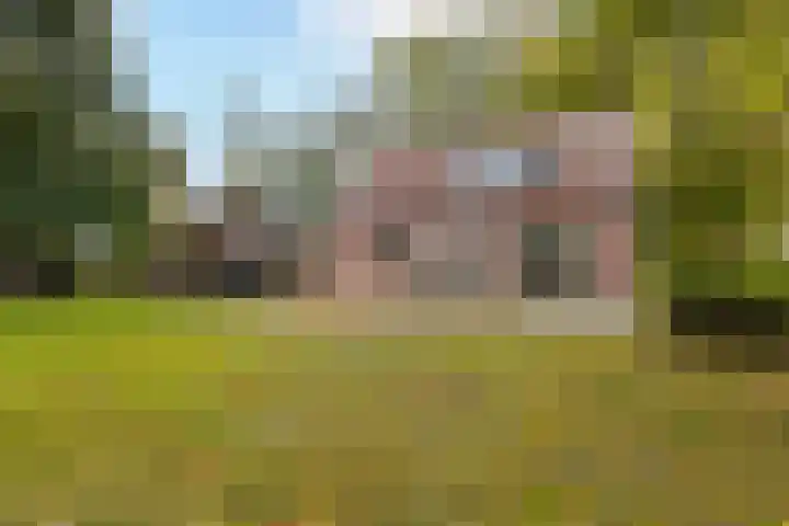 Hoofdweg 90 Ederveen thumbnail 54